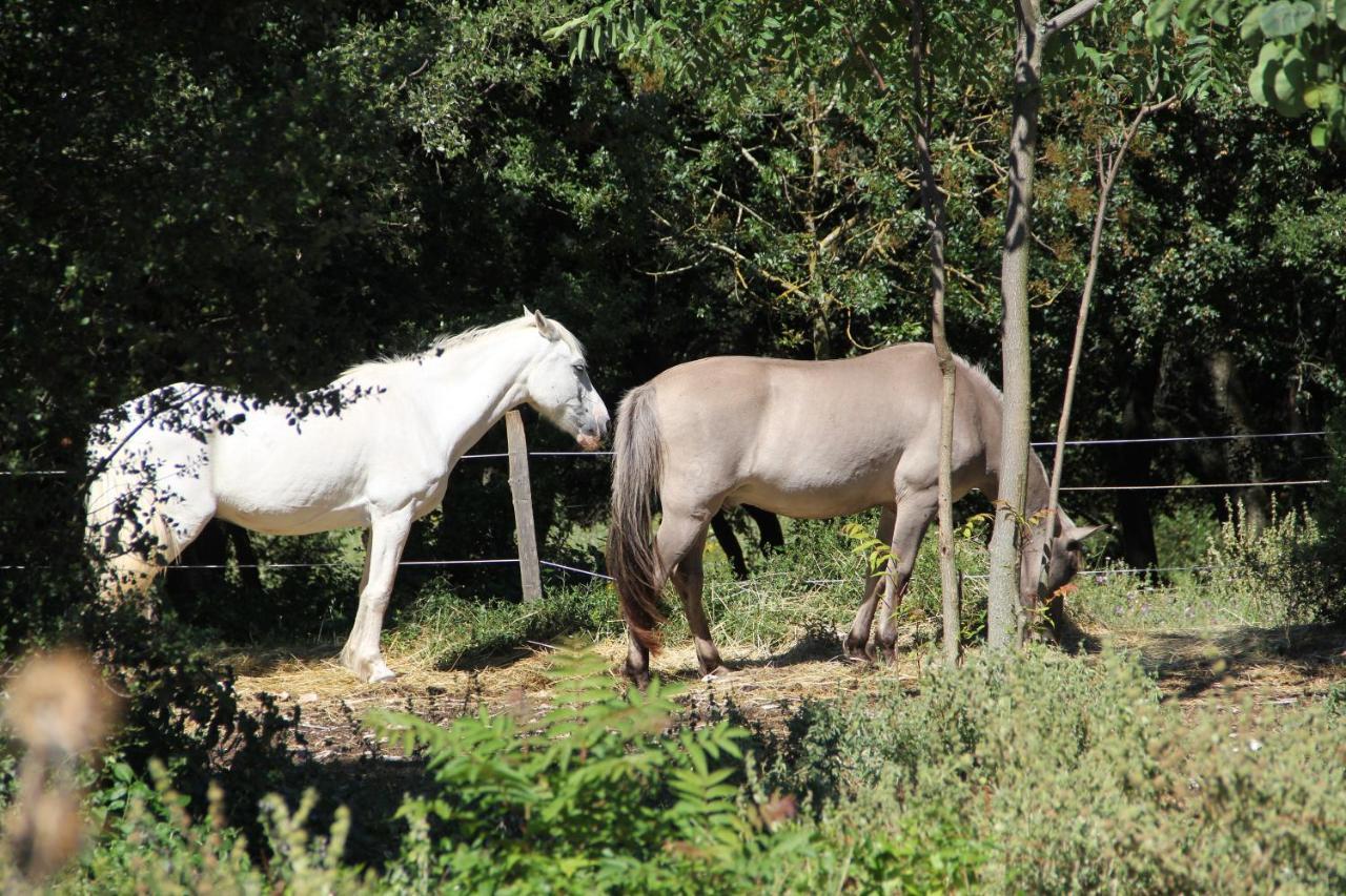 Studio Gard Calme Et Nature Russan Exterior foto
