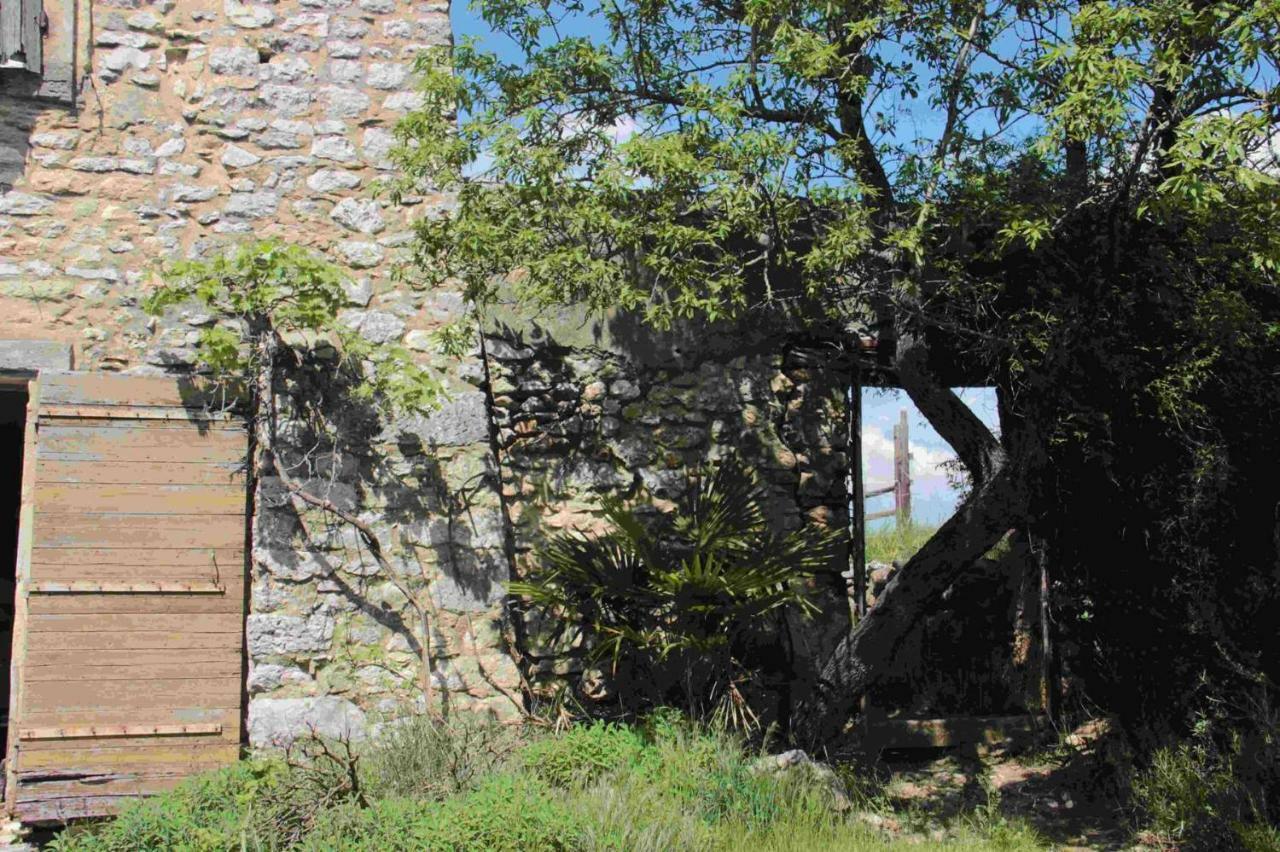 Studio Gard Calme Et Nature Russan Exterior foto